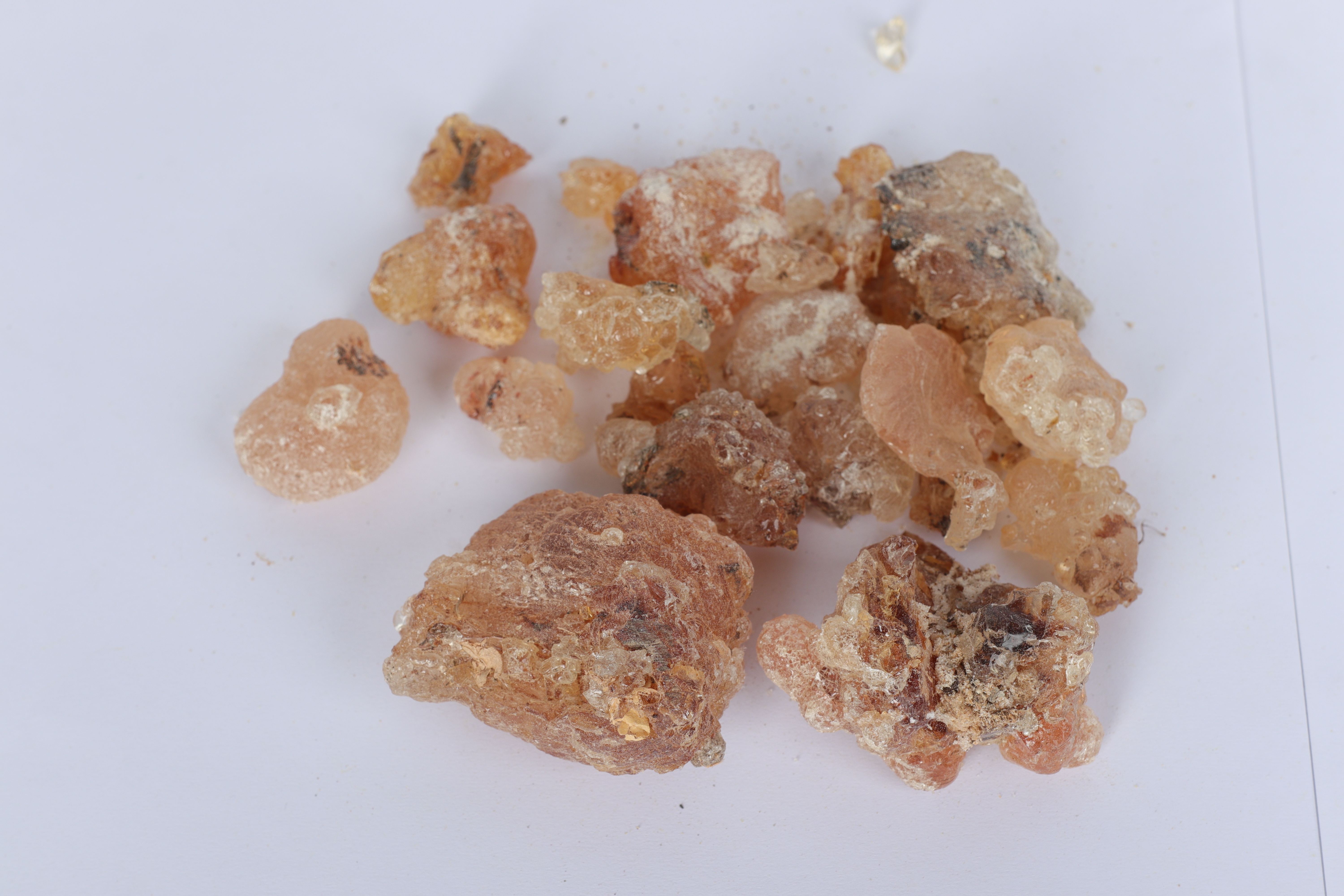Gum Arabic Export - Nairobi-Based Exporter for East Africa & Africa