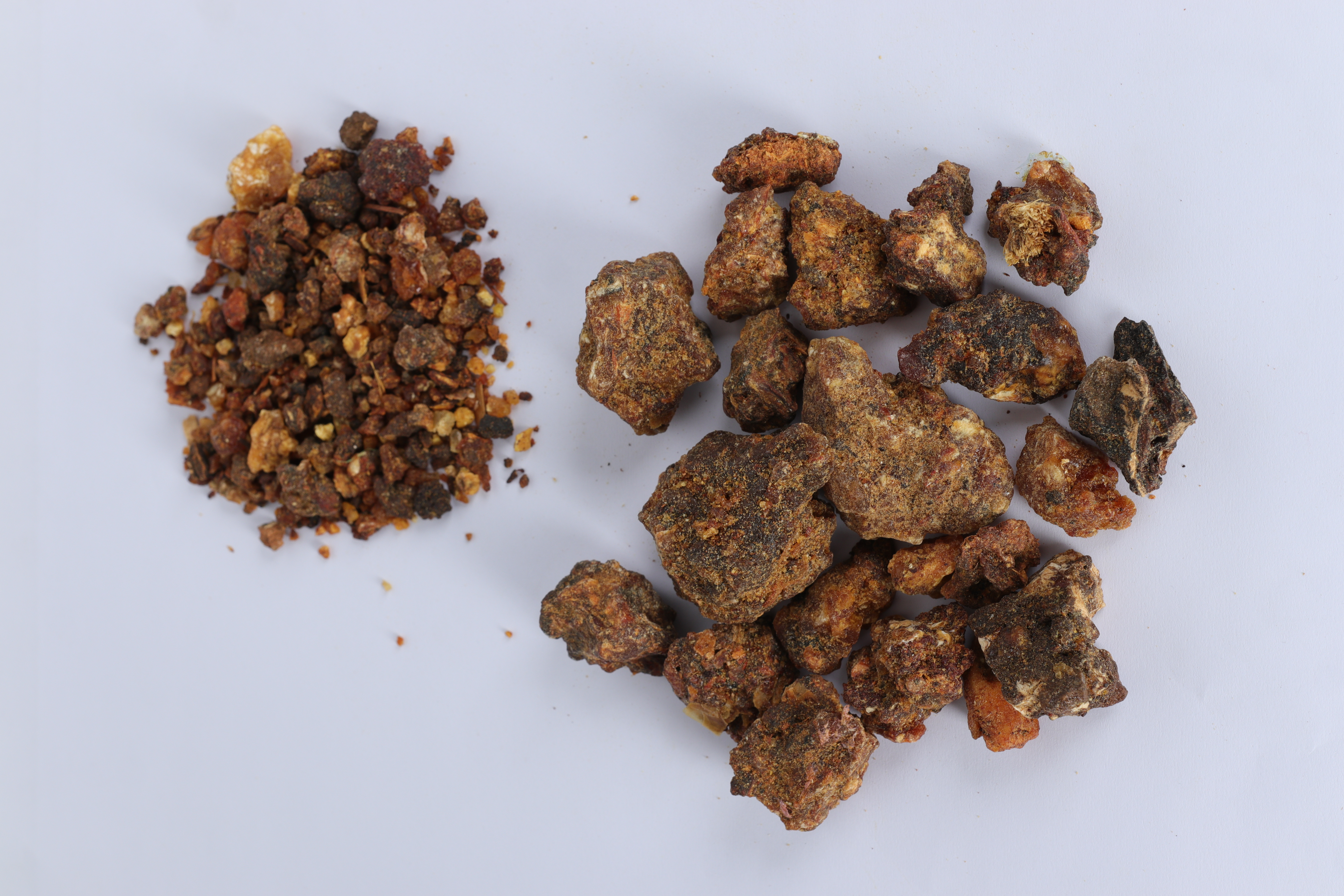 Sweet Myrrh (Opoponax) Exporter - Premium Resin Africa